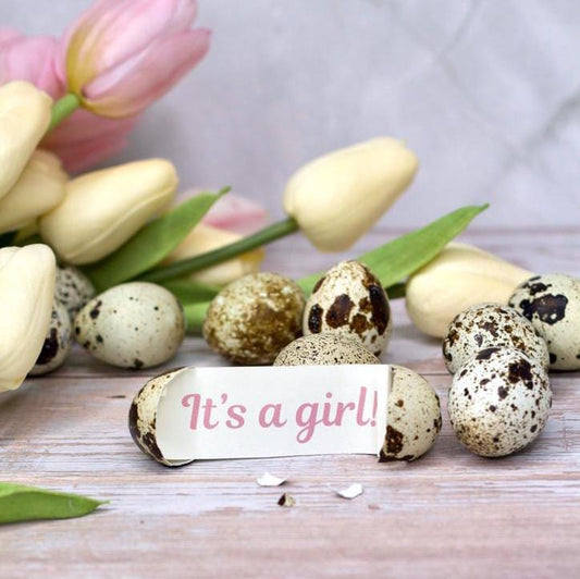 Gender Reveal Egg - Birdalay
