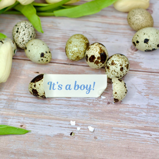Gender Reveal Egg - Birdalay