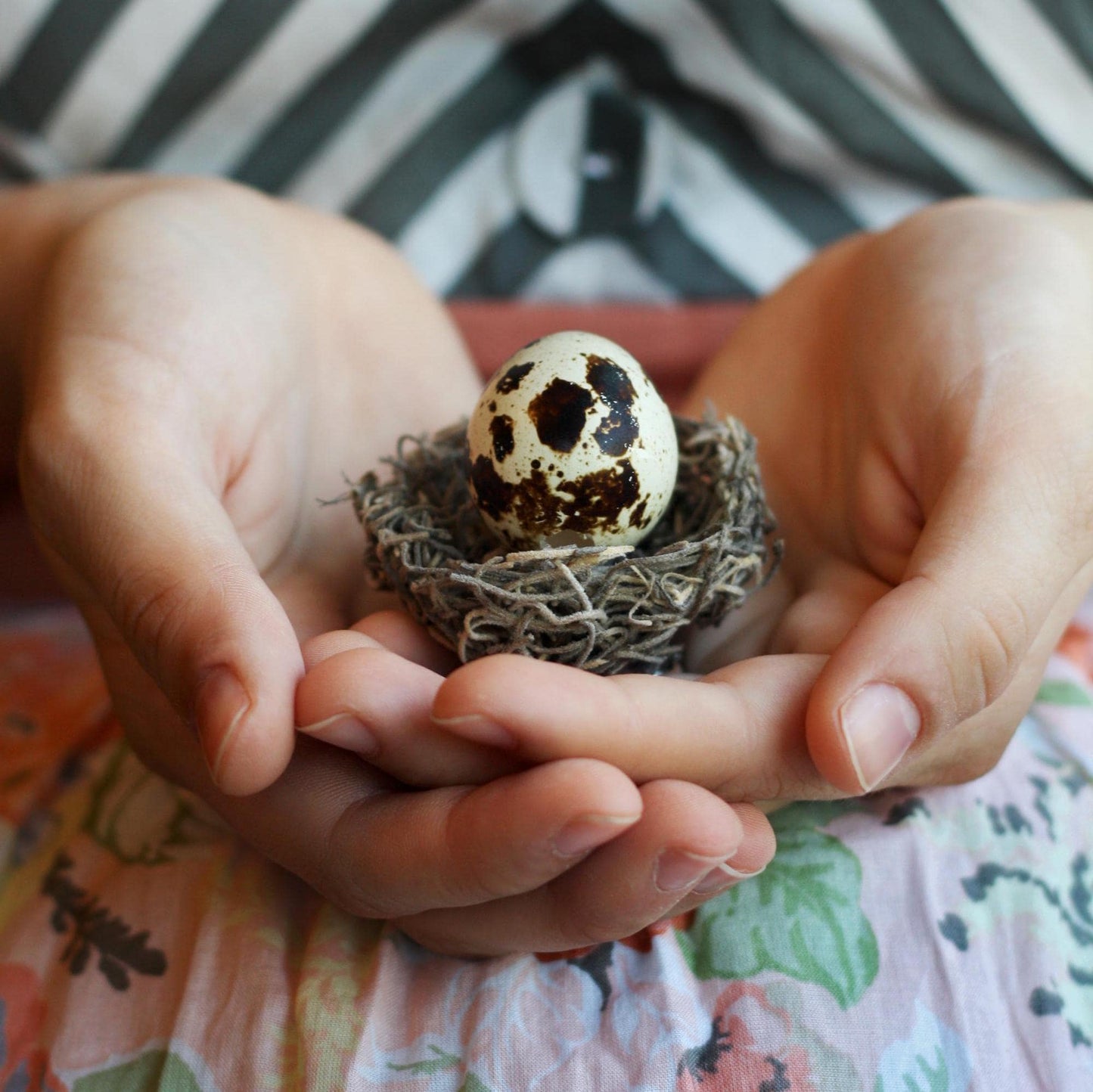 Mother's Day Egg Card - Birdalay