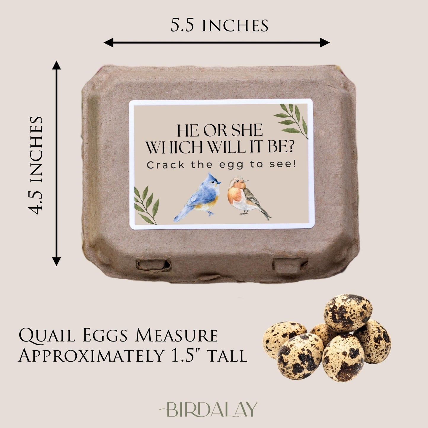 Bulk Gender Reveal Eggs - Birdalay