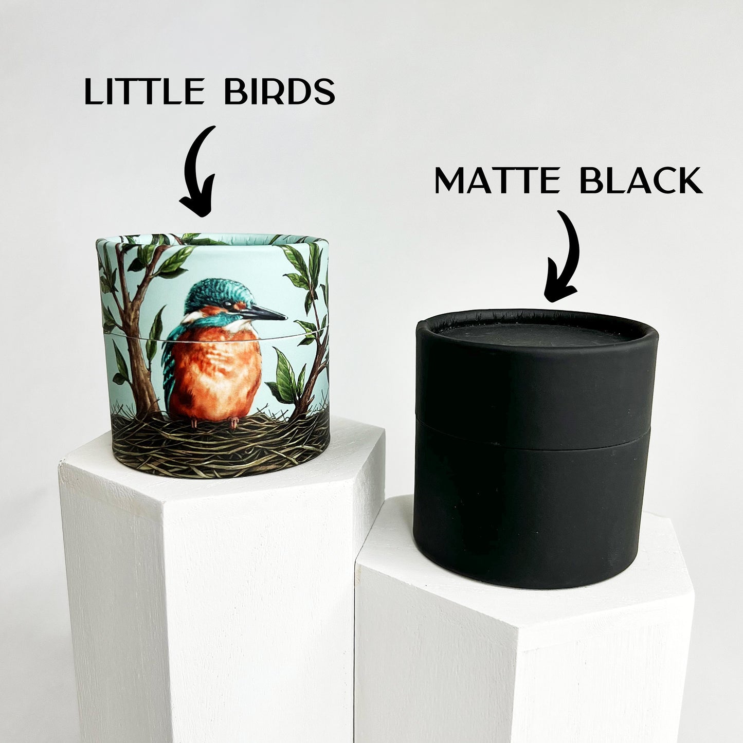 Gender Reveal Egg - Birdalay