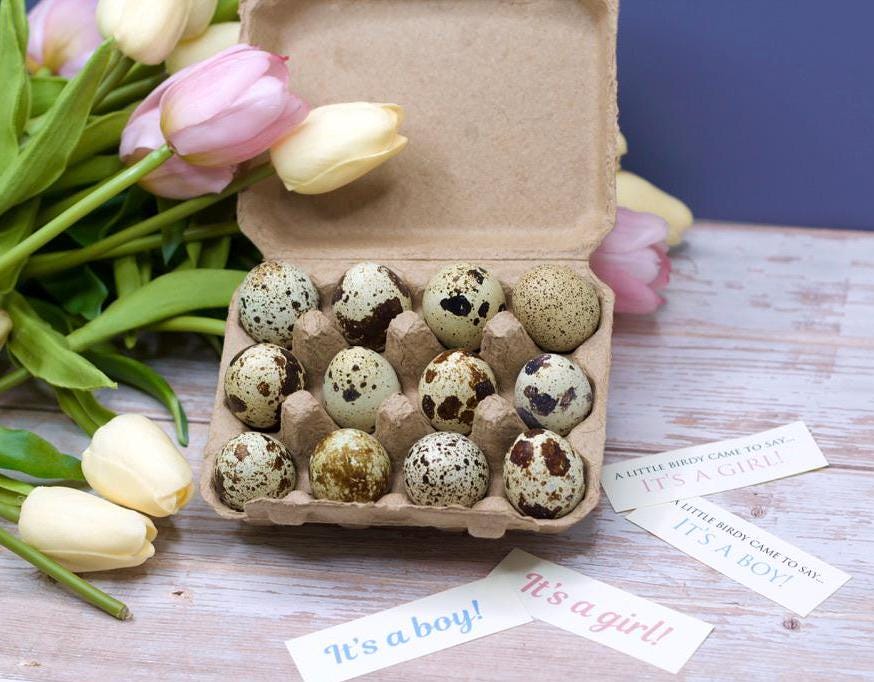 Bulk Gender Reveal Eggs!