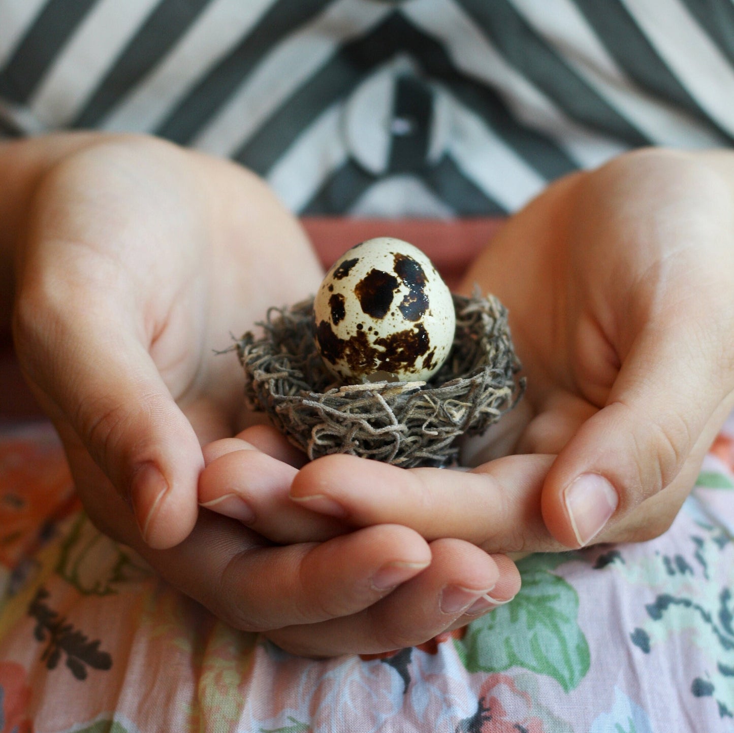 Easter Pregnancy Reveal - Birdalay