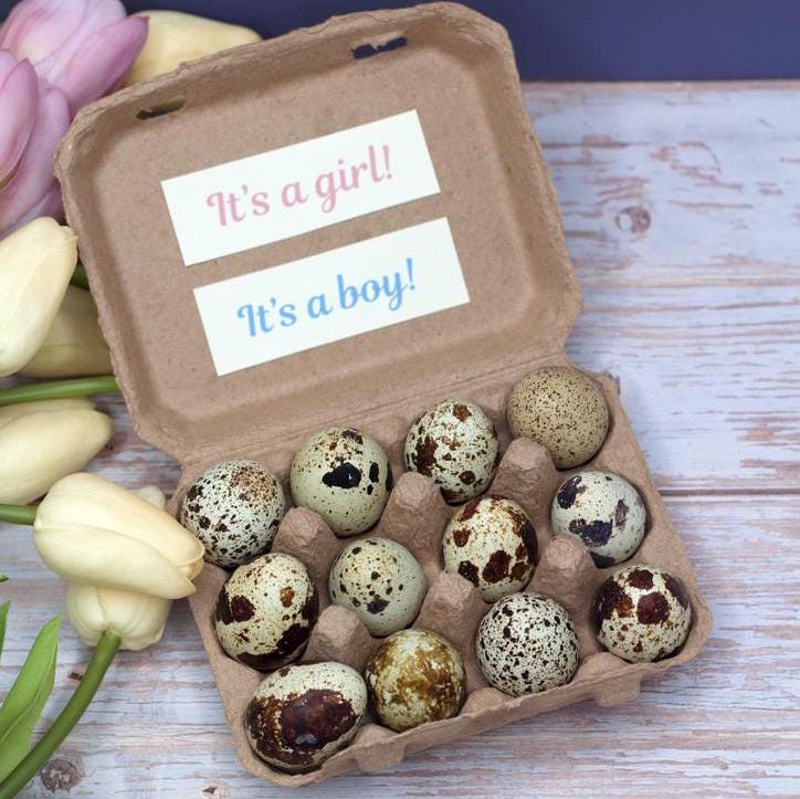 Bulk Gender Reveal Eggs!