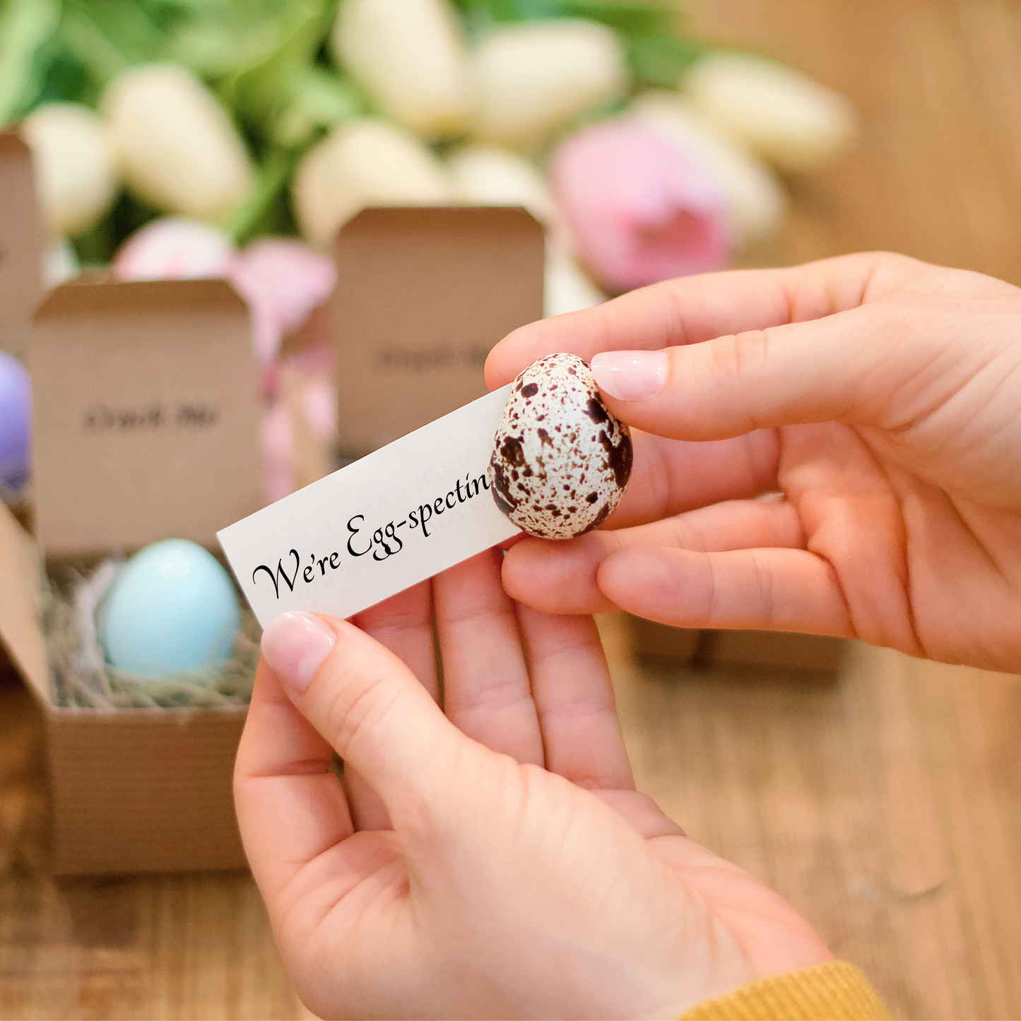 Spring Pregnancy Reveal - Birdalay