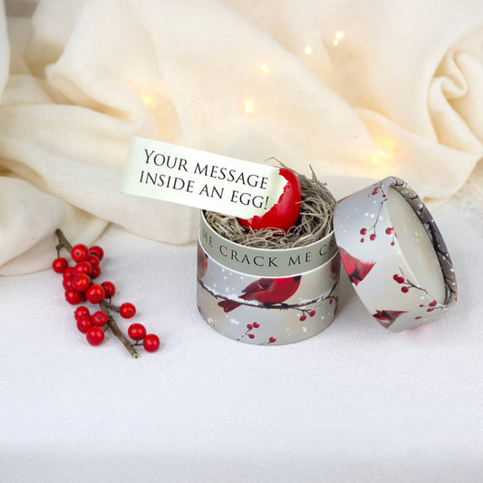 Christmas Pregnancy Announcement