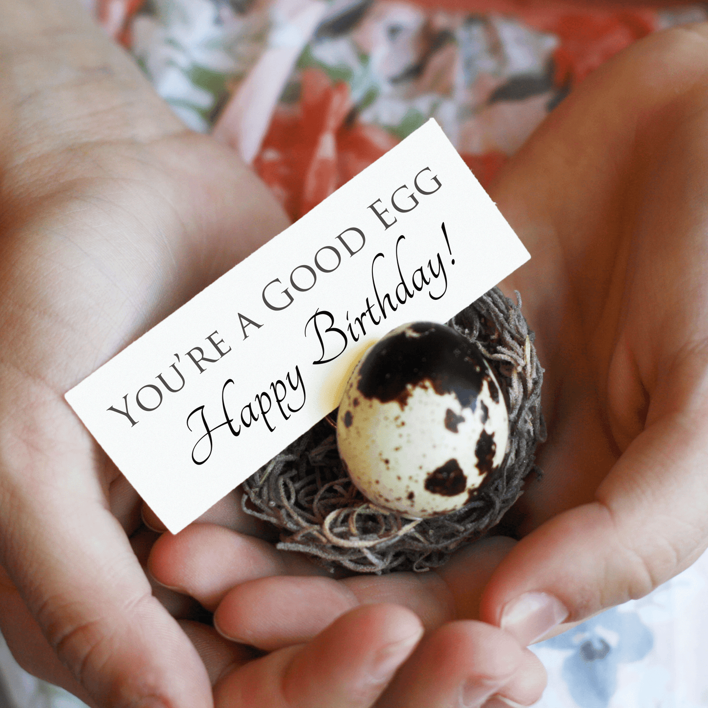 Egg Birthday Card - Birdalay