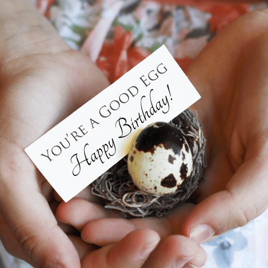Egg Birthday Card - Birdalay