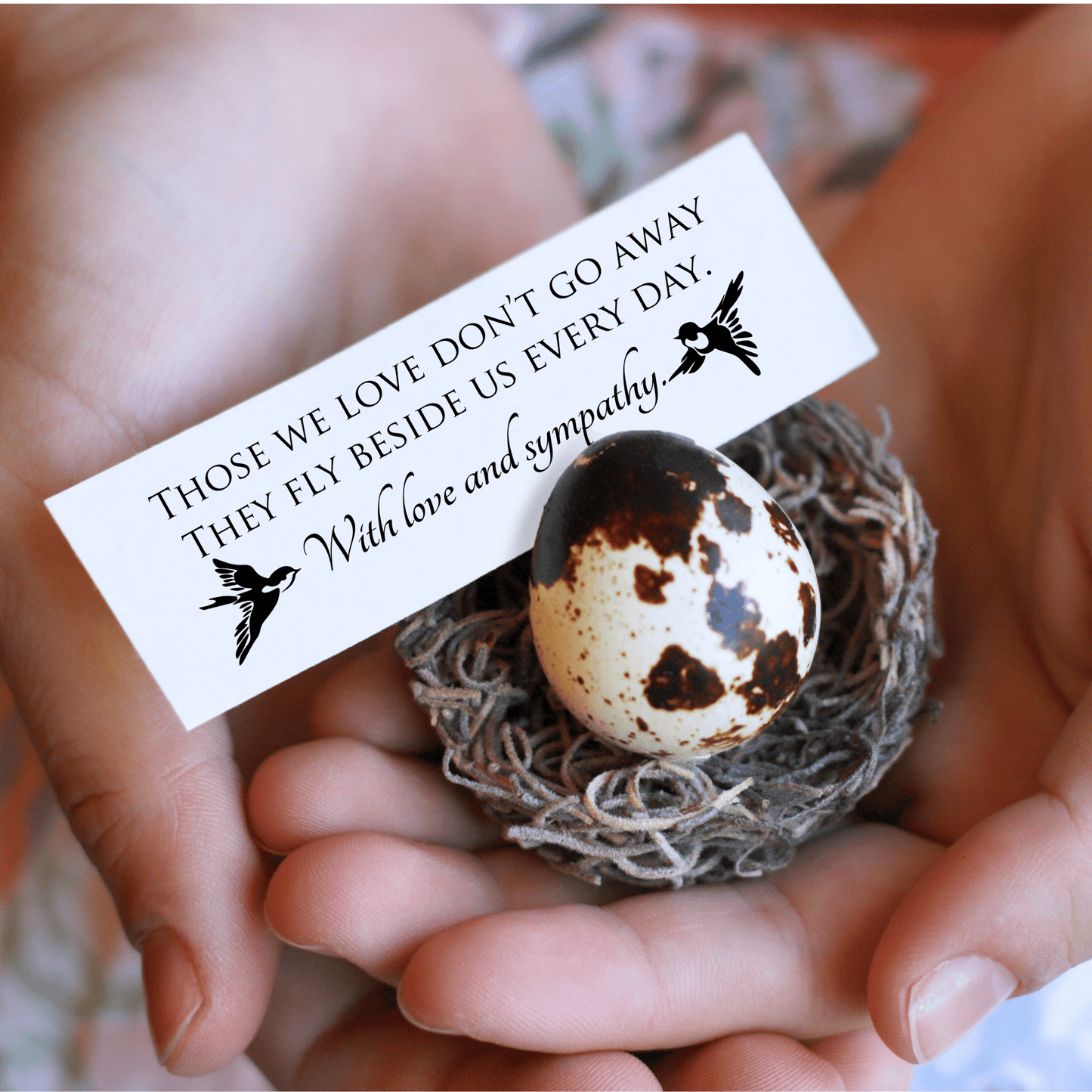 Small nest with a speckled egg held in hands, accompanied by a sympathy card.