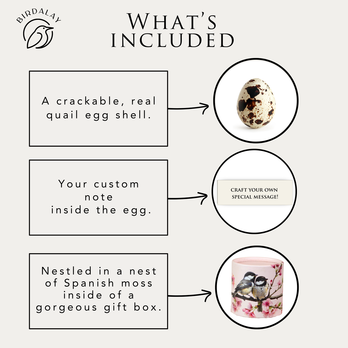 Chickadee Pregnancy Announcement Egg