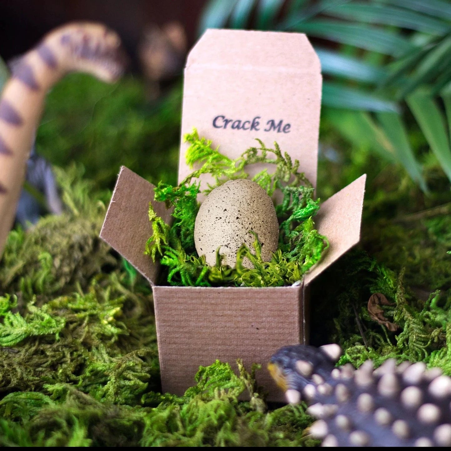 Dinosaur Egg Birthday Card