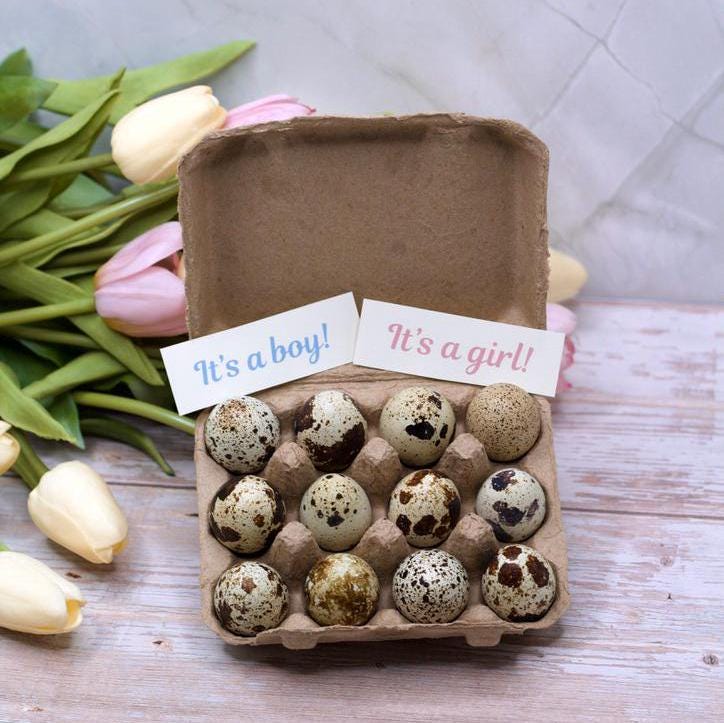 Bulk Gender Reveal Eggs!
