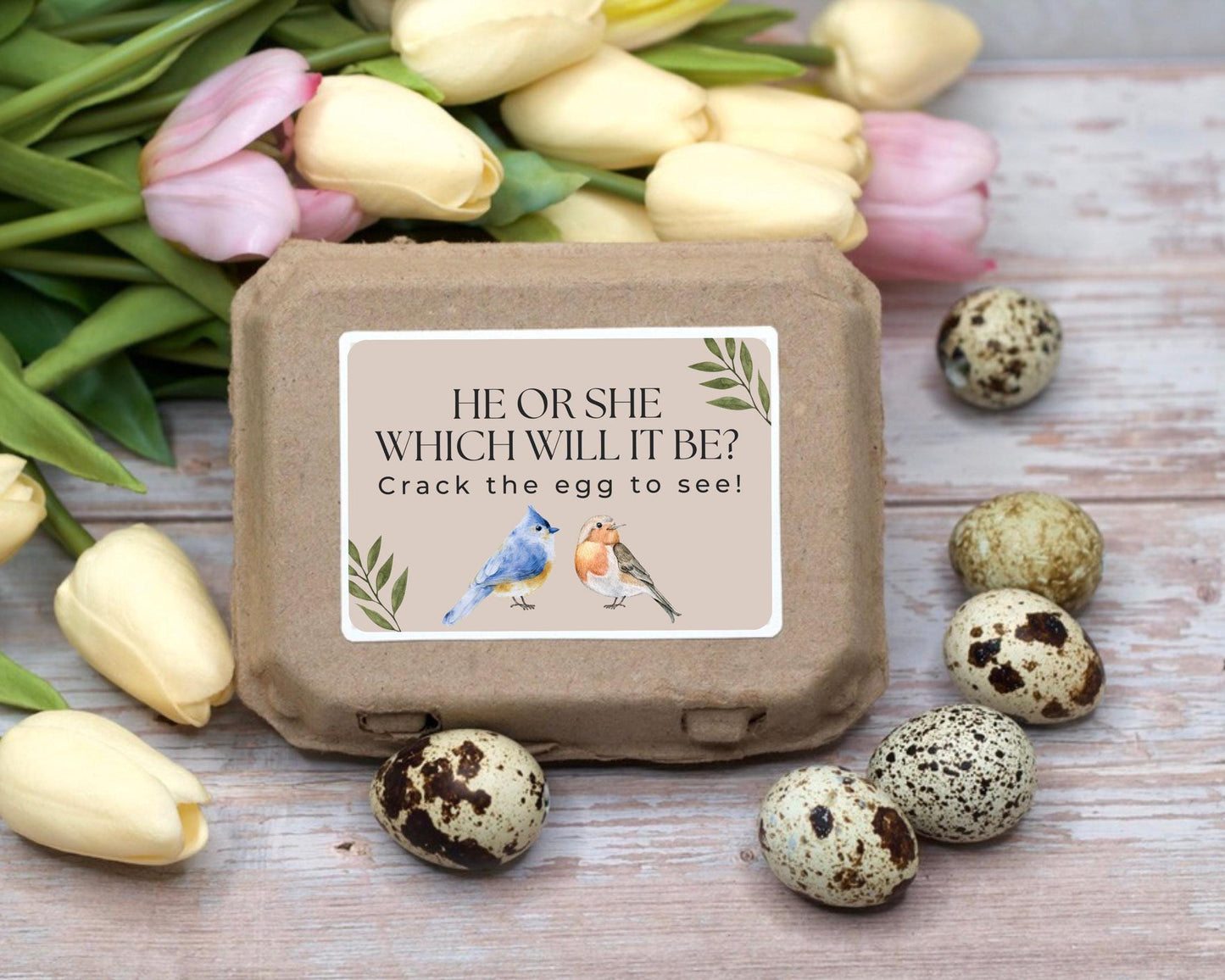 Bulk Gender Reveal Eggs!