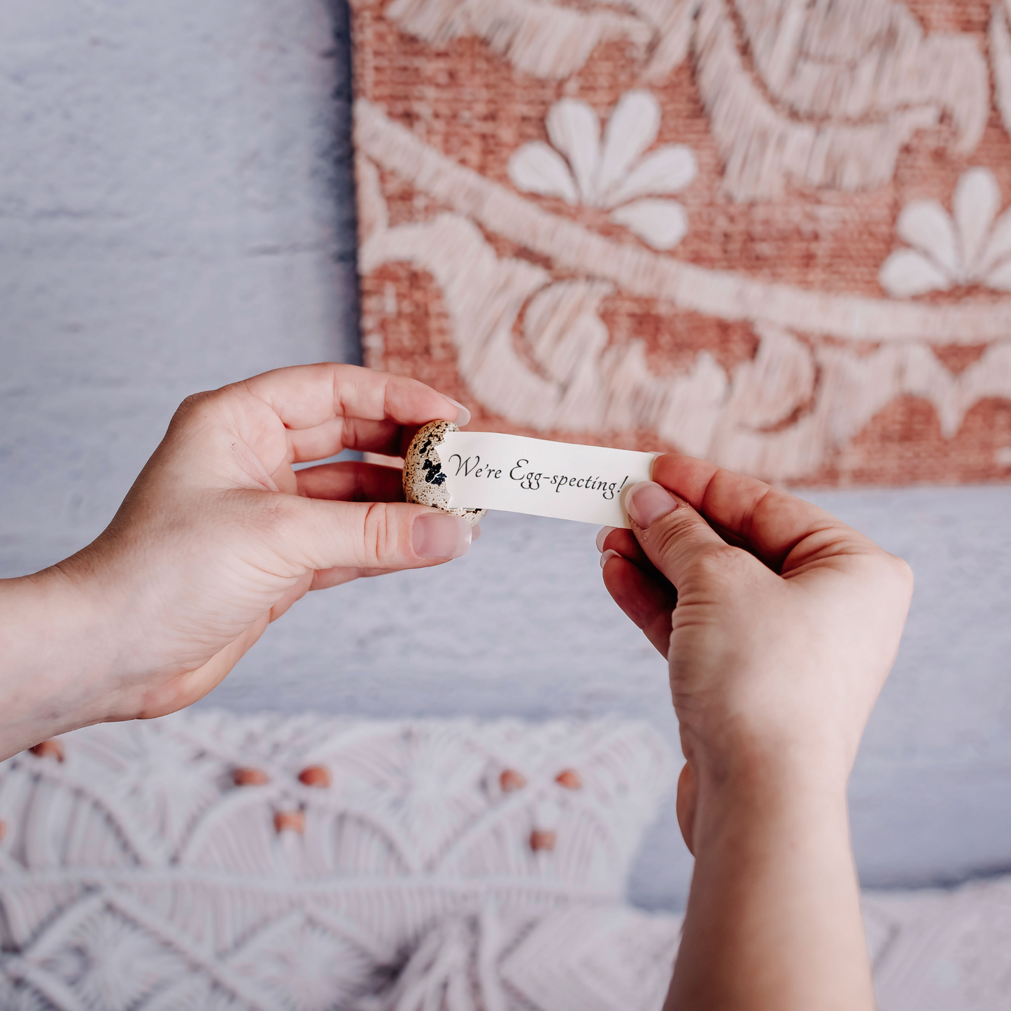 Pregnancy Announcement Egg - Birdalay