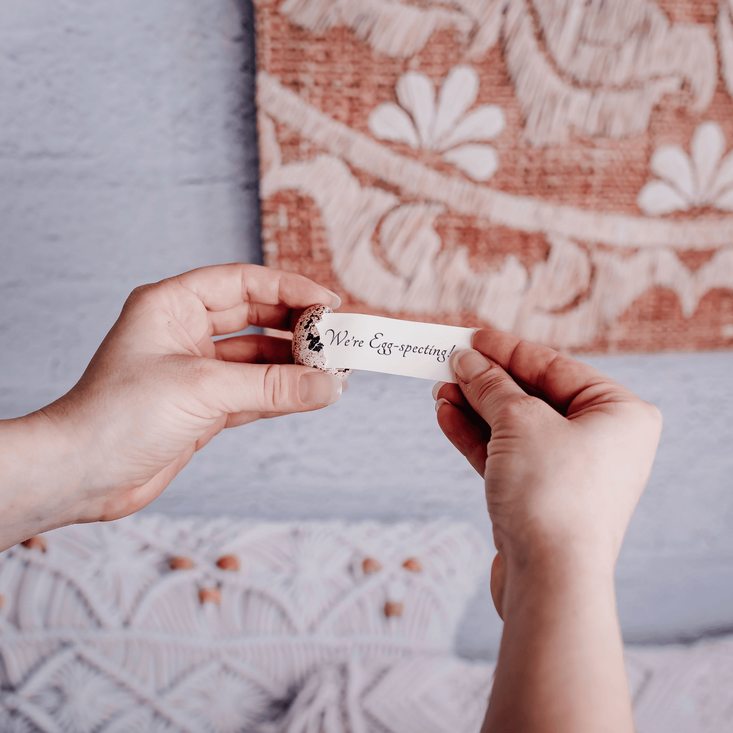 Pregnancy Announcement Egg - Birdalay