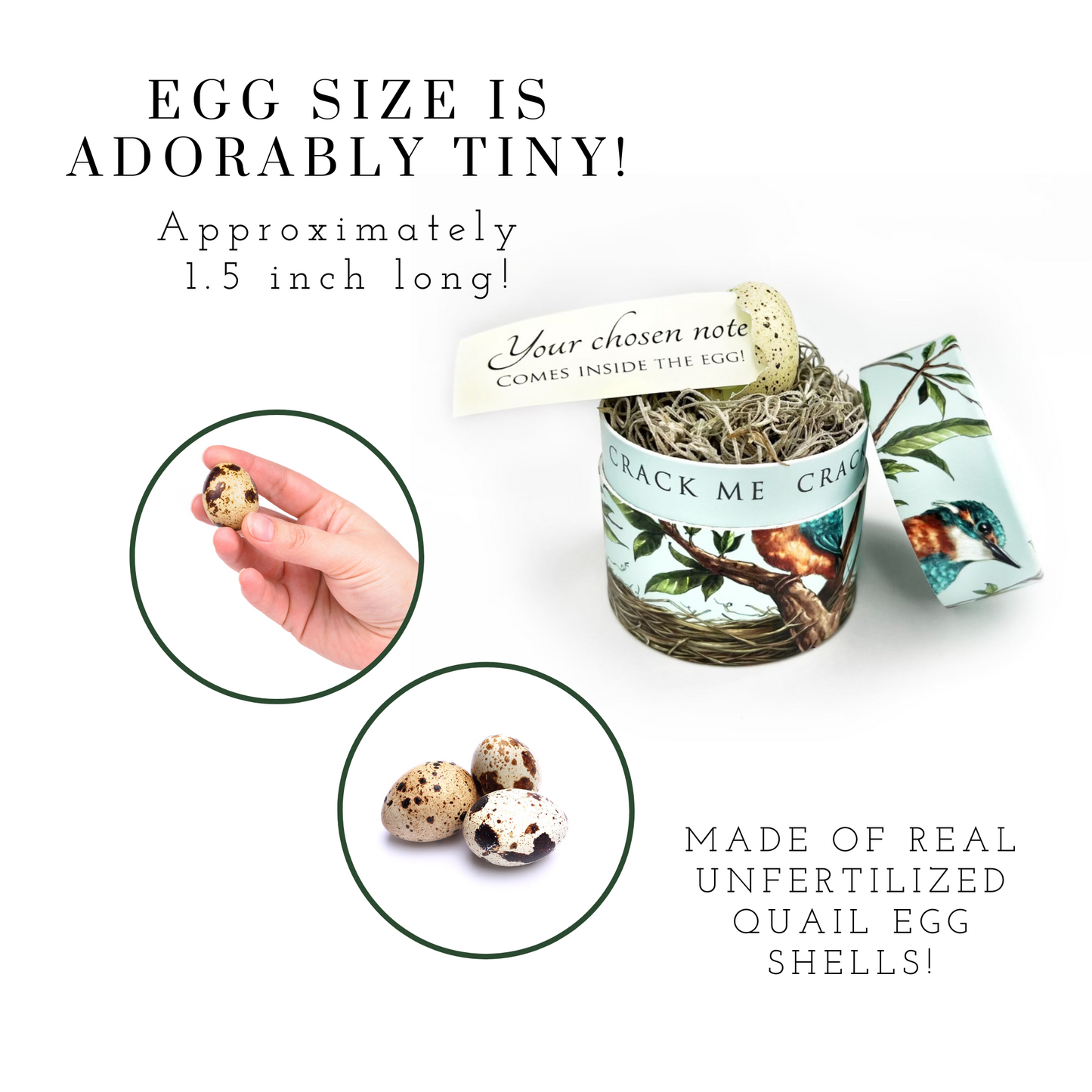 Anniversary Egg Card - Birdalay