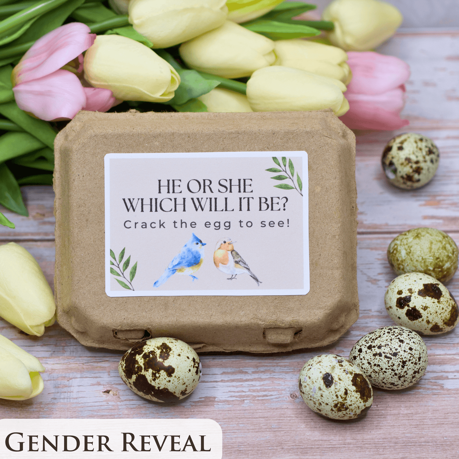 Gender Reveals - Birdalay