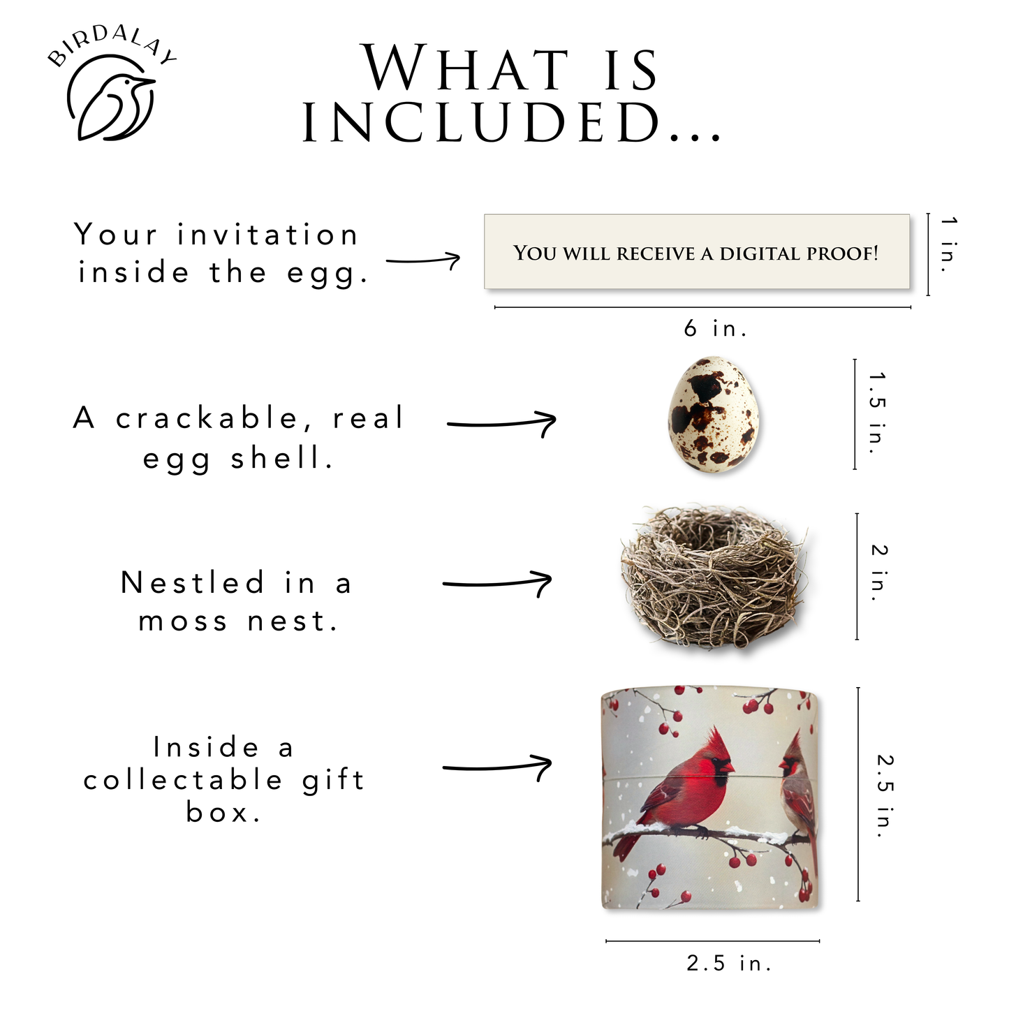 Cardinal Bridal Shower Invitations