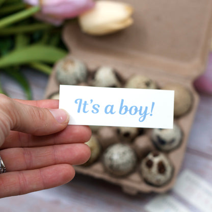 Gender Reveal Egg in Kraft Box