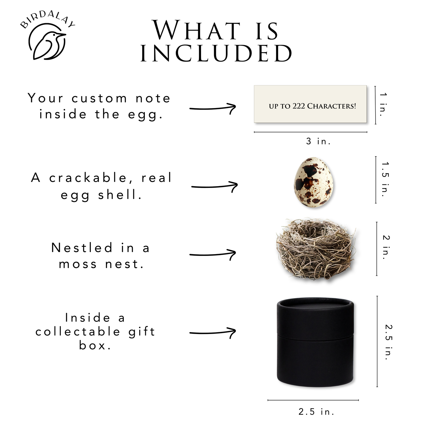 Classic Black Birthday Egg Card