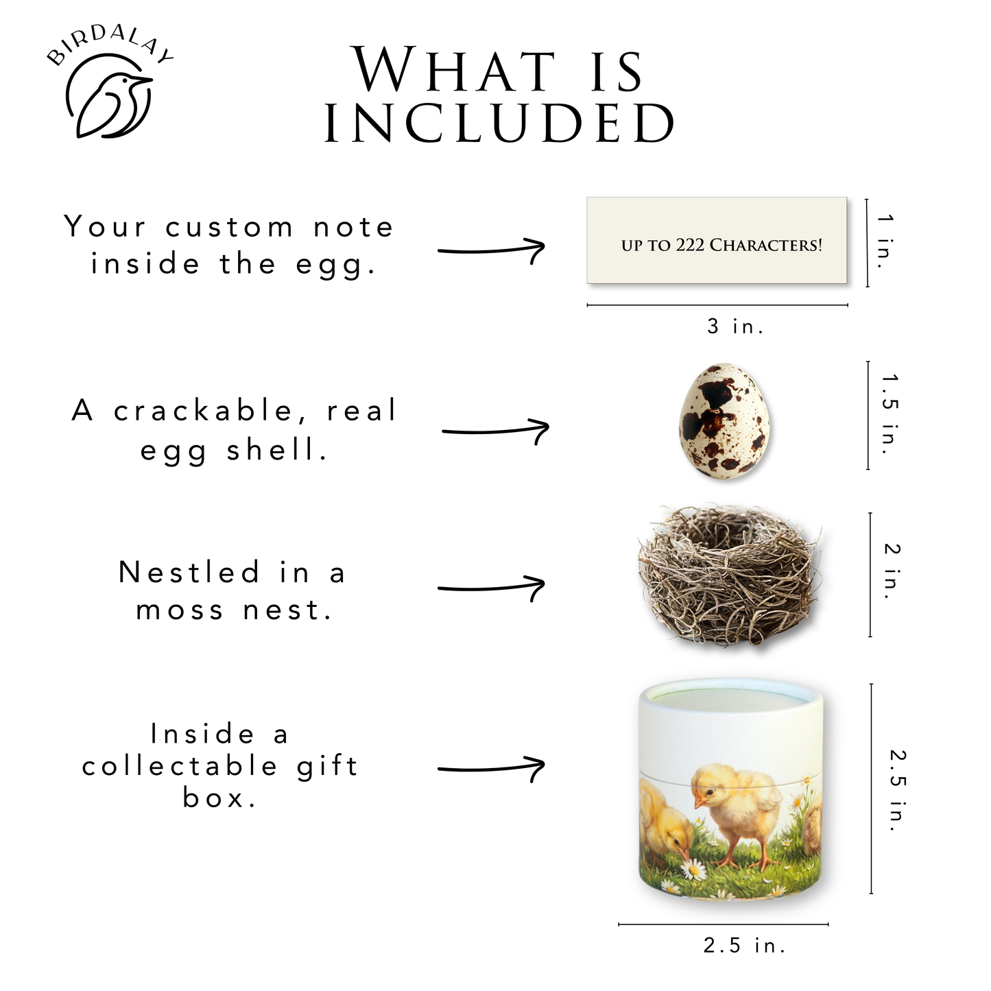 Chick Birthday Egg Card