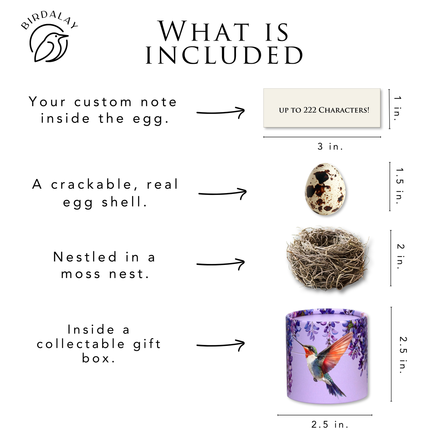 An informational product graphic titled 'What is Included' showing a custom bird-themed egg gift set with dimensions and descriptions: a 1x3 inch note inside, a crackable real egg shell measuring 1.5" tall, a nest measuring 2" tall, and a collectable gift box measuring 2.5" tall. The set is branded Birdalay.