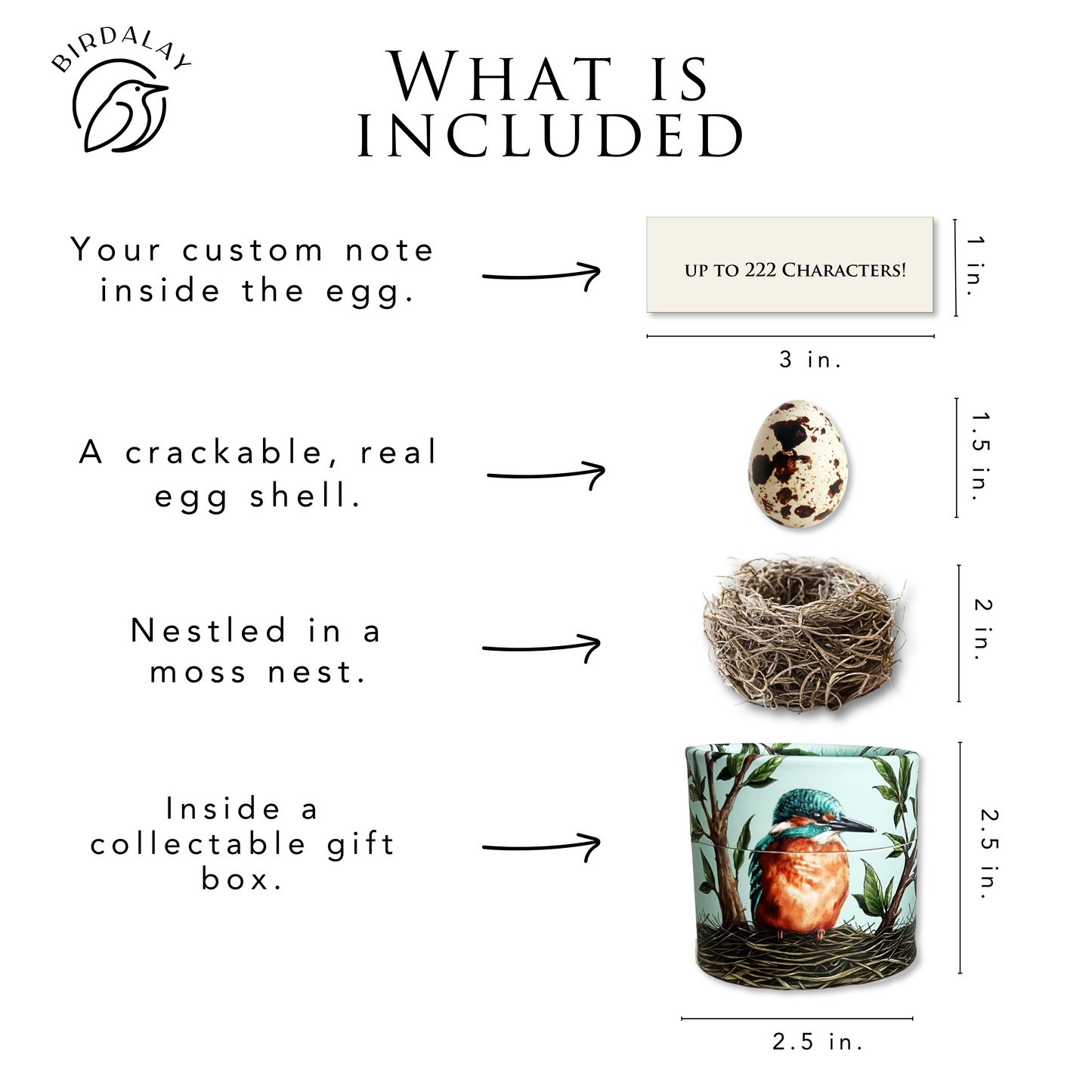 Kingfisher Easter Egg Card
