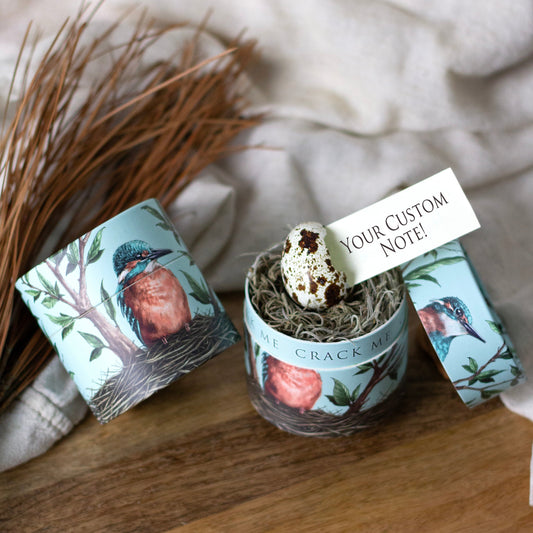 Kingfisher Valentine's Day Surprise Egg Card - Birdalay