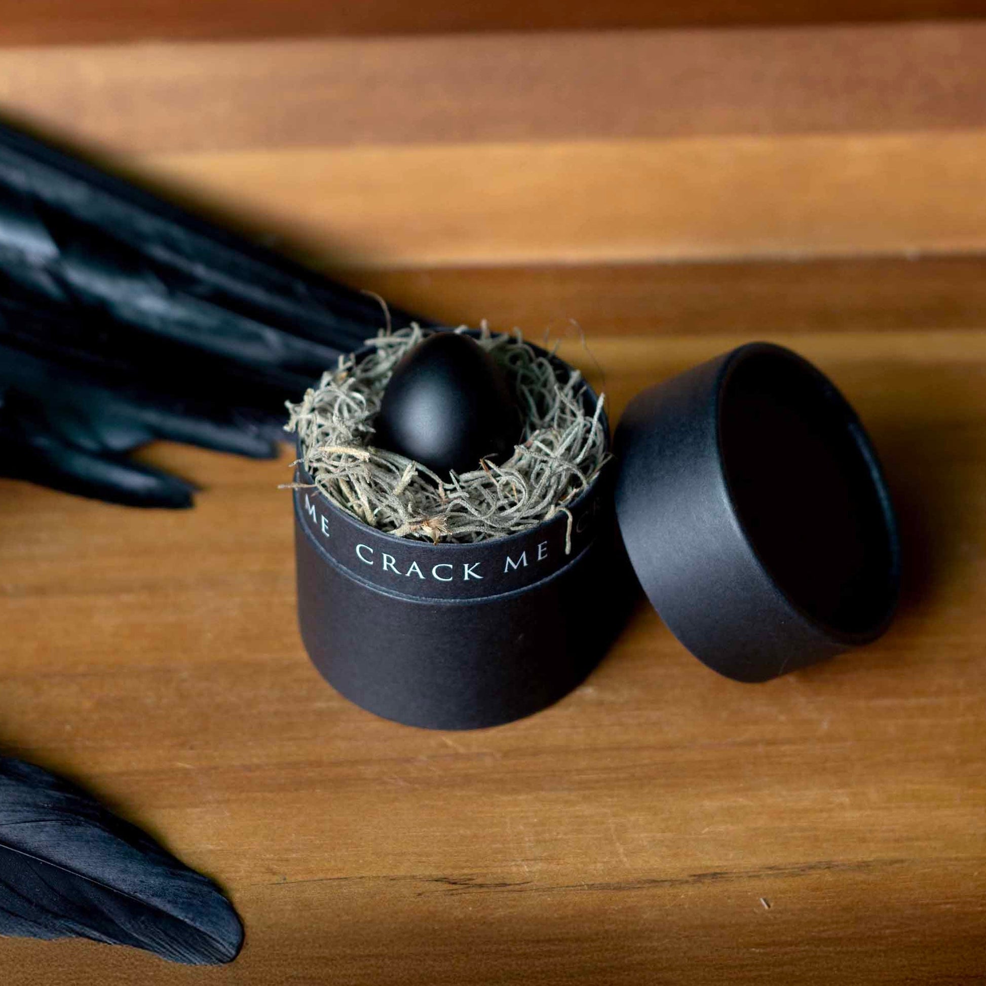 A black egg nestled in a small nest of dried moss inside a matte black cylindrical box with the lid beside it, placed on a wooden surface with black feathers nearby.