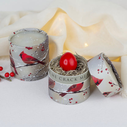 Christmas Pregnancy Announcement