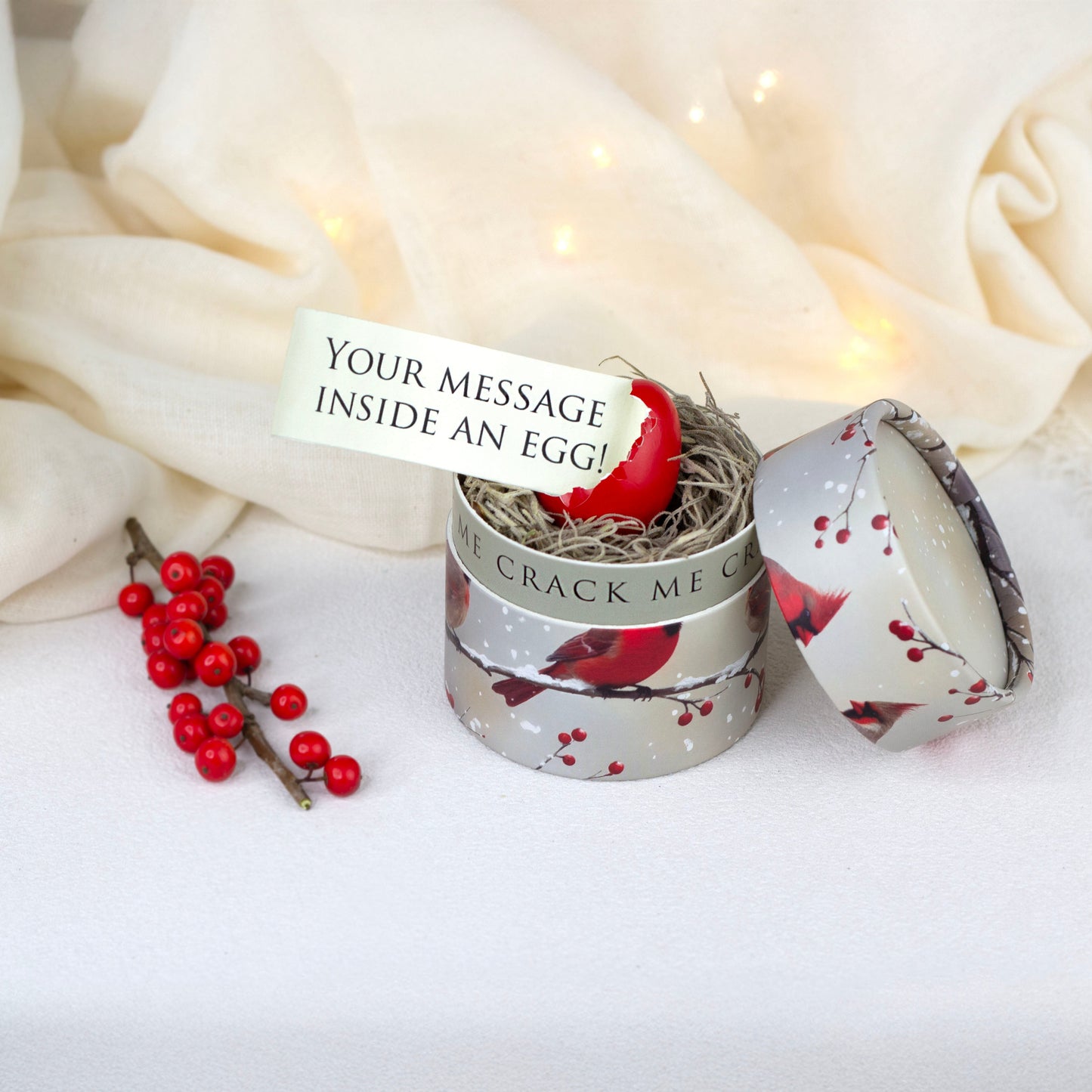 Christmas Pregnancy Announcement