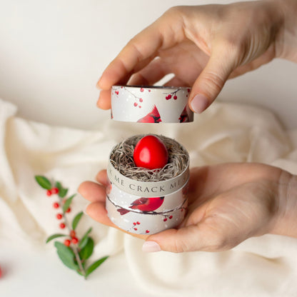 Christmas Pregnancy Announcement