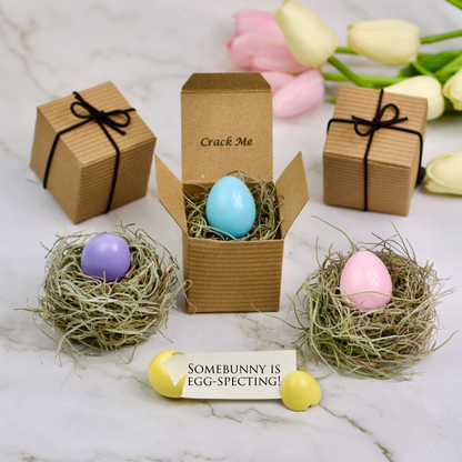 Spring Pregnancy Reveal