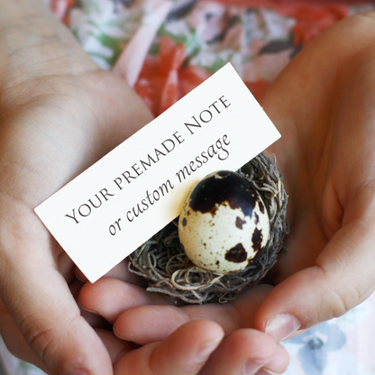 Pregnancy Announcement Egg Card