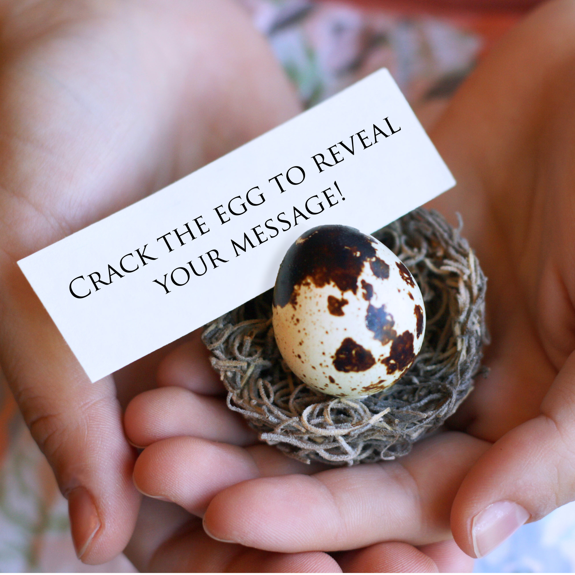 Small speckled egg in a nest held by hands with a message card.