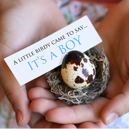 Gender Reveal Egg in Kraft Box