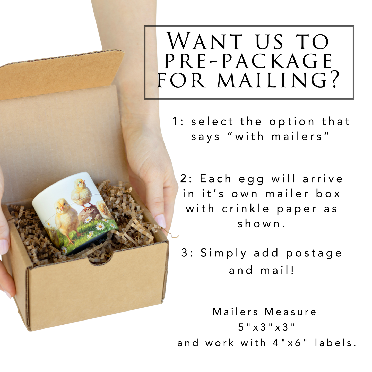 Chick Bridal Shower Invitations