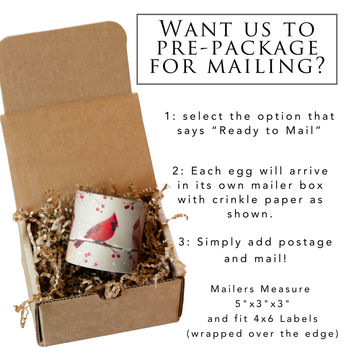 Cardinal Bridal Shower Invitations