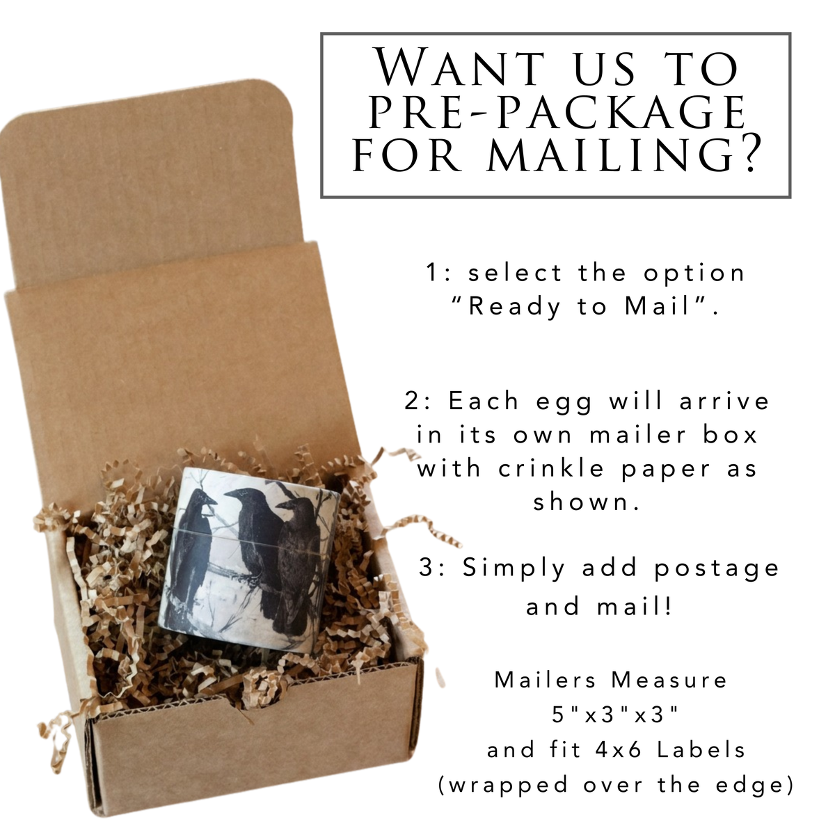 Vintage Raven Birthday Invitations
