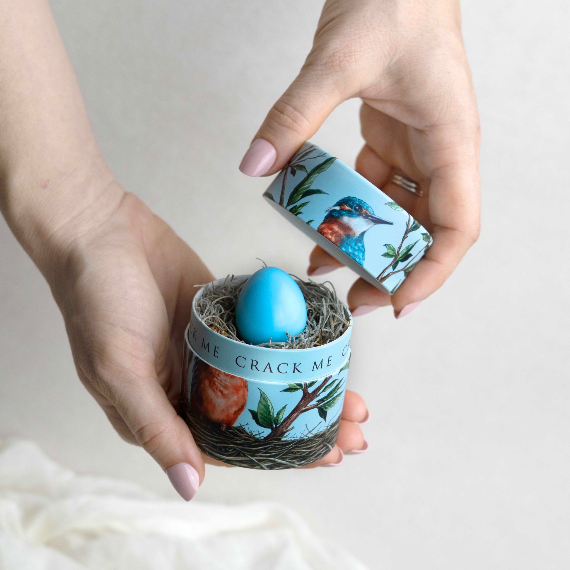 Hands hold a small, blue, kingfisher bird box. Within is a nest with a blue egg. The rim of the box reads "crack me"