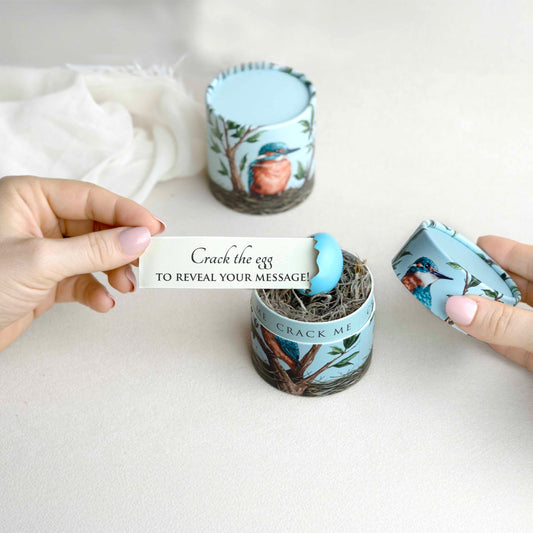 a small blue box with a nest in it and a cracked blue egg with a note coming out of it reading "crack the egg to reveal your message!"