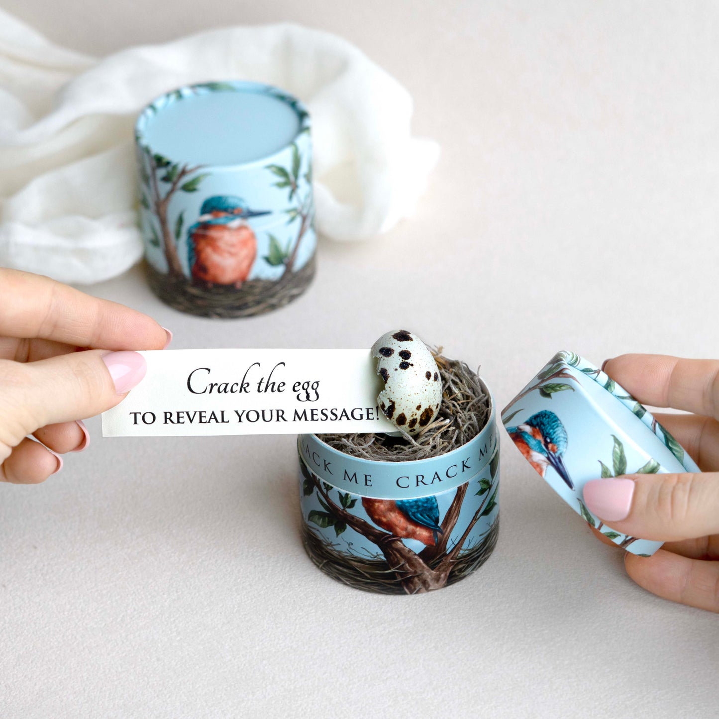 Egg-themed product with a small bird egg in a bird box, being held on a white background, with a note coming out of the egg