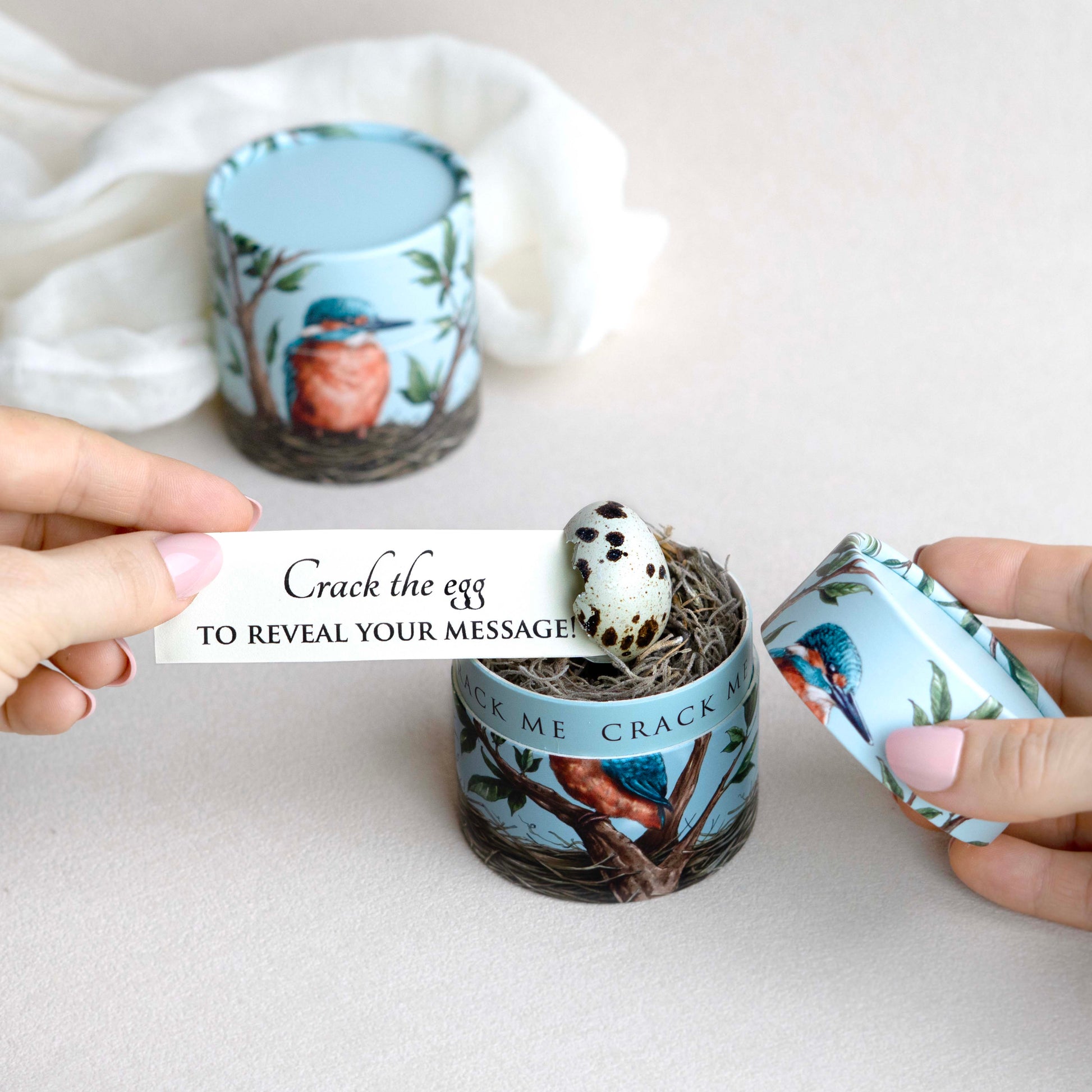 Egg-themed product with a small bird egg in a bird box, being held on a white background, with a note coming out of the egg