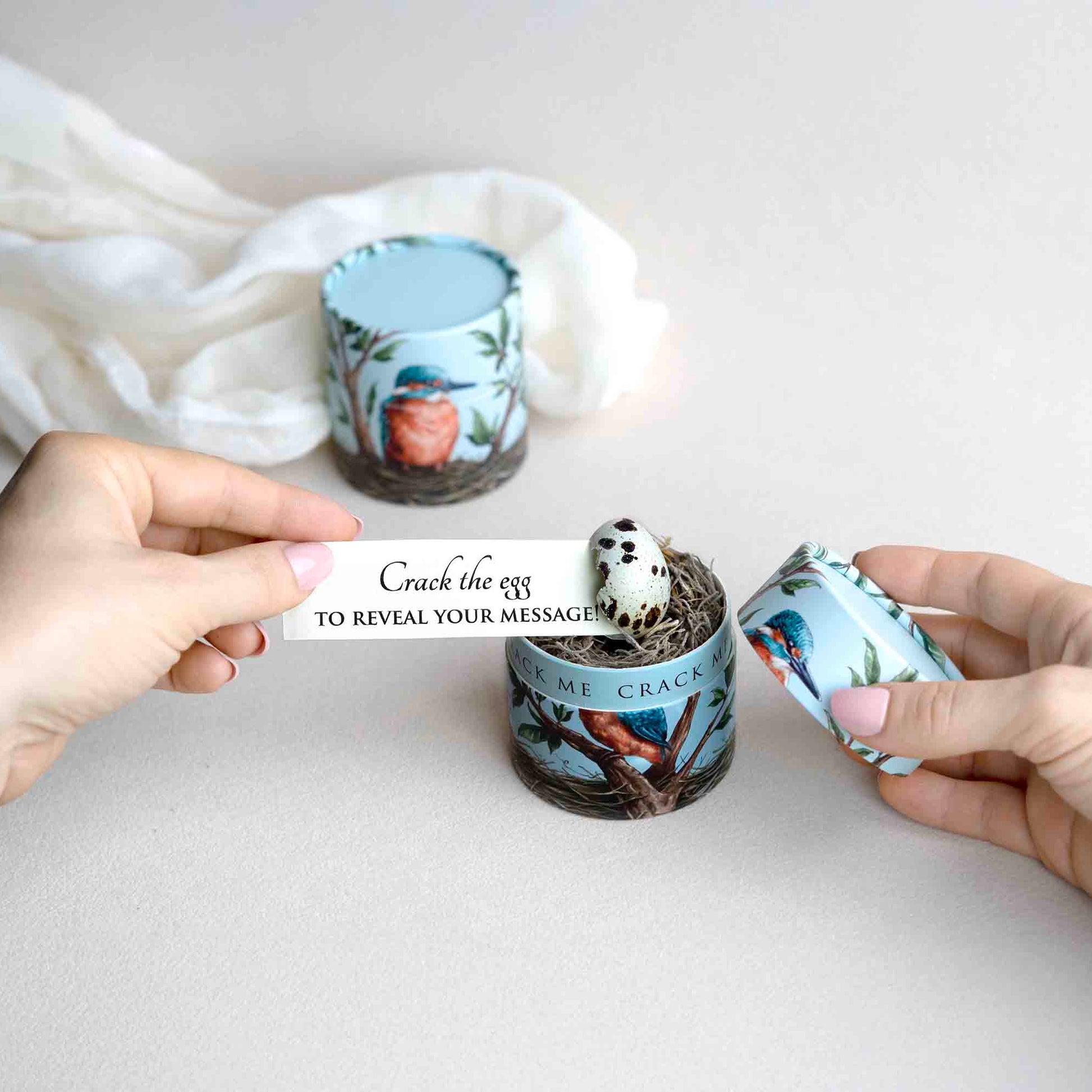 A small, blue kingfisher bird box is being opened, and an egg rests within, cracked, with a note being pulled out that reads "crack the egg to reveal your message!"