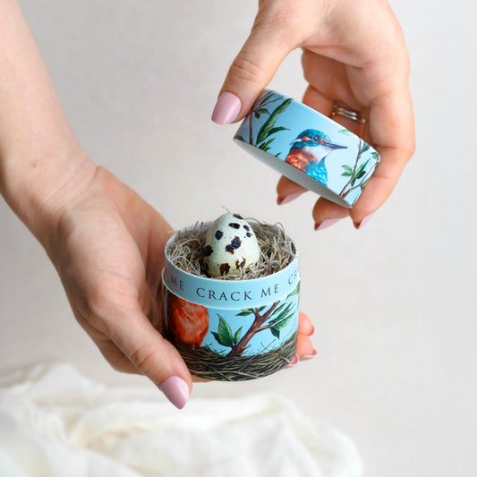 Hands hold an illustrated bird-themed gift box with its lid off, revealing a small speckled egg nestled in a nest. The box has a light blue background with a blue bird illustration, and the words 'CRACK ME '.