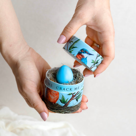 Hands hold a small, blue, kingfisher bird box. Within is a nest with a blue egg. The rim of the box reads "crack me"