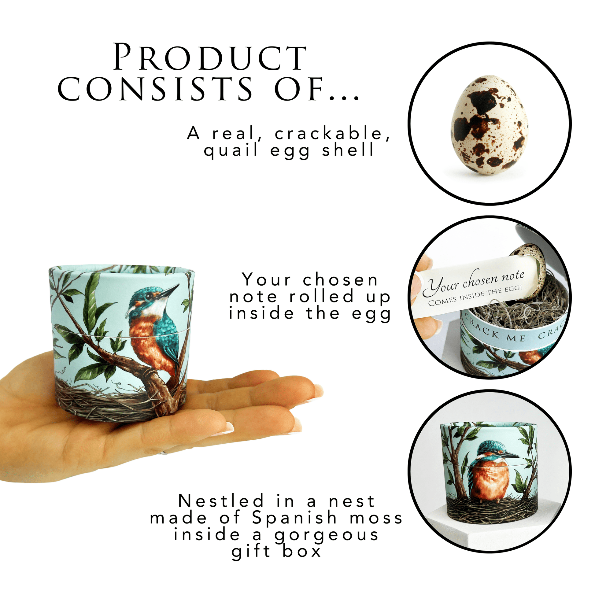 Kingfisher Mother's Day Egg Card - Birdalay