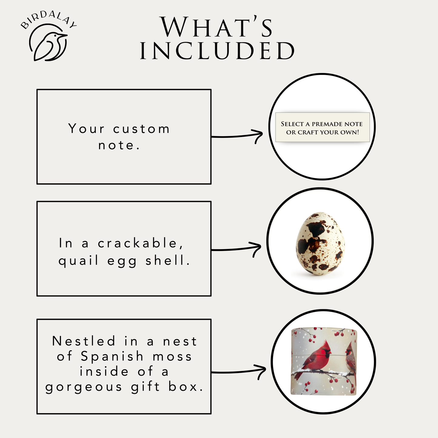 Cardinal Birthday Egg Card