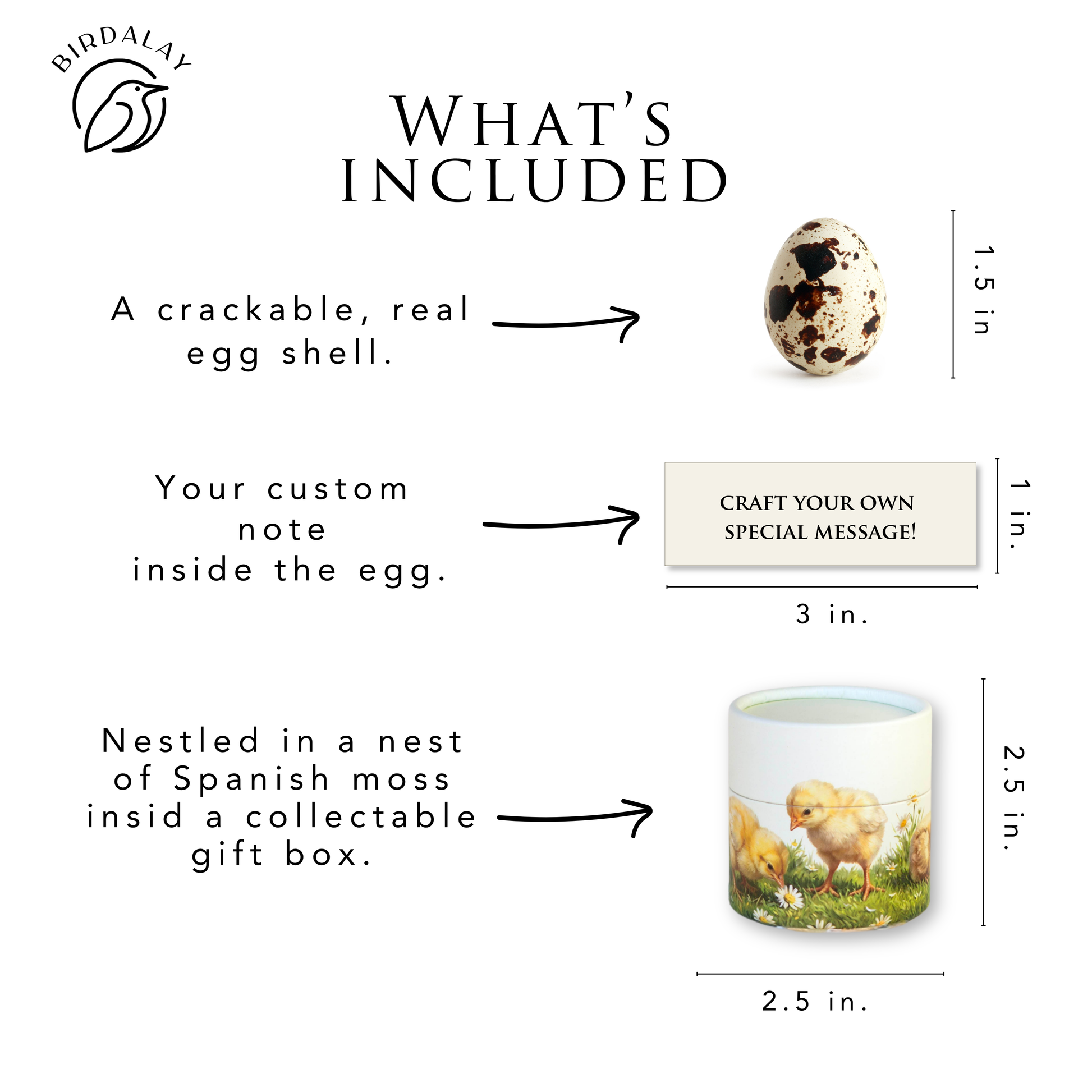 An informational product graphic on a white background showing what is included for a custom egg-shaped collectable gift box. It includes a real crackable egg shell, a customizable note inside the egg, and a Spanish moss nest holding a ceramic egg-shaped box with a chick illustration.