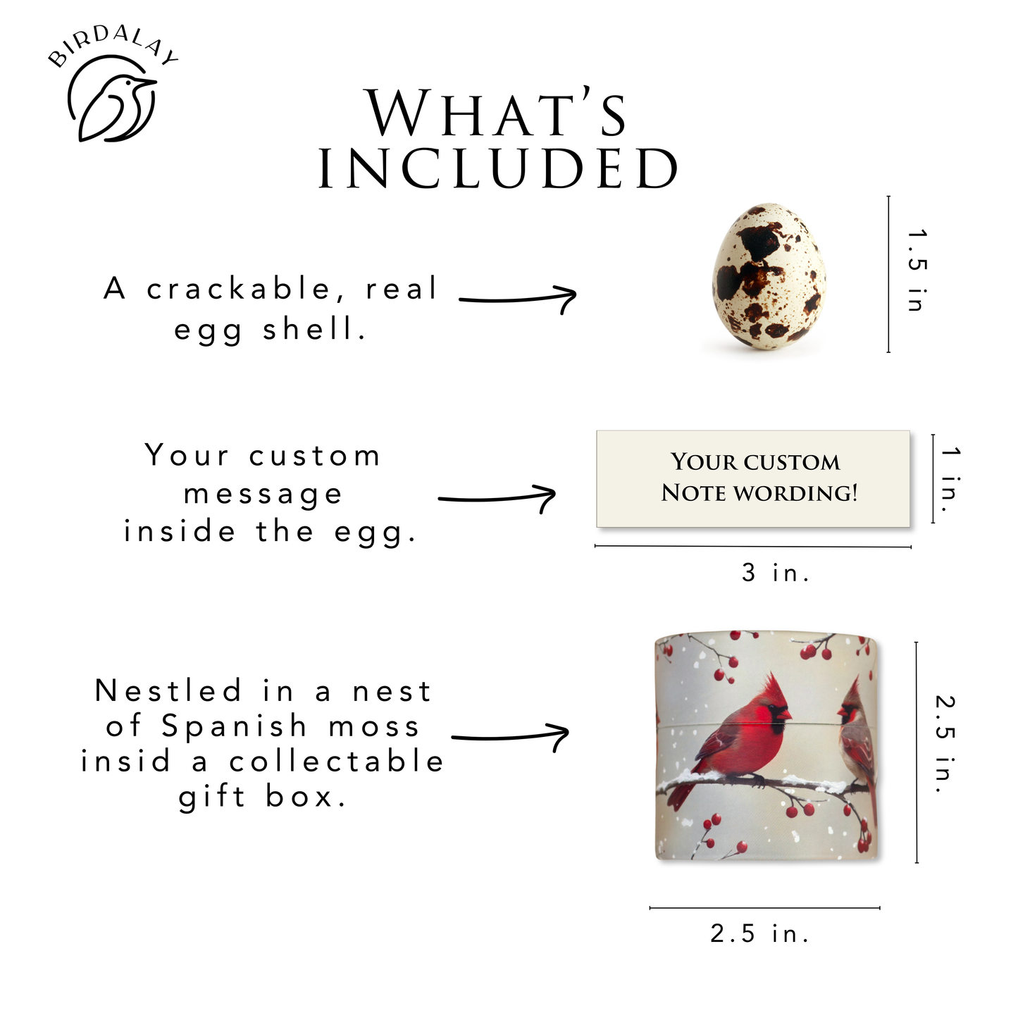 Cardinal Pregnancy Announcement Egg